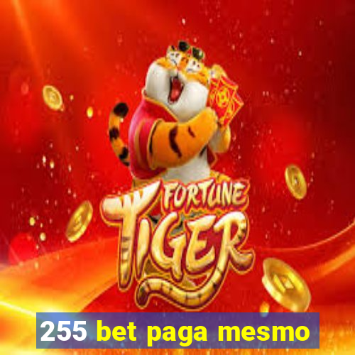 255 bet paga mesmo